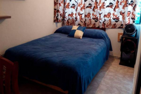 Habitación 6